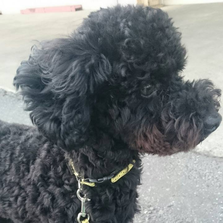 D555d5b9 4c1d 447e 8a0b ef4f6c87827d