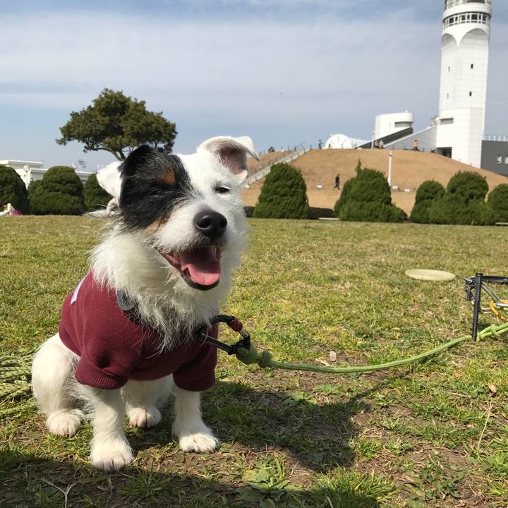 D555ed2d 4933 4e68 965e 3225e0ae591f