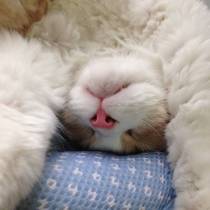 D5564f78 71c6 432a bd64 0c05a5af739b