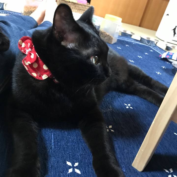 D556630c 7982 48a6 8340 fe211a67831b