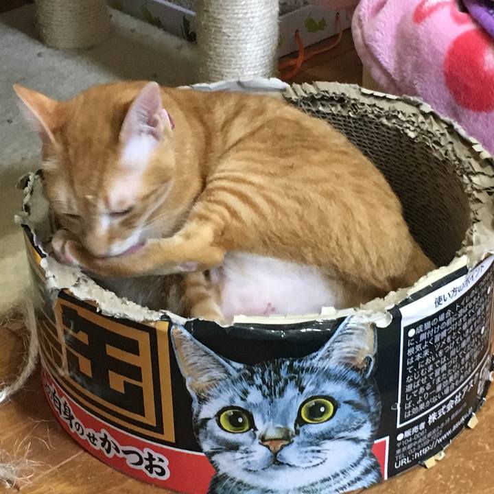 D5567c1e efd4 436c 847f 78316cf5f743