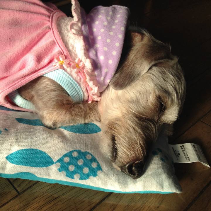 D556ff39 09f0 4933 b3e6 d4f1e382fd13