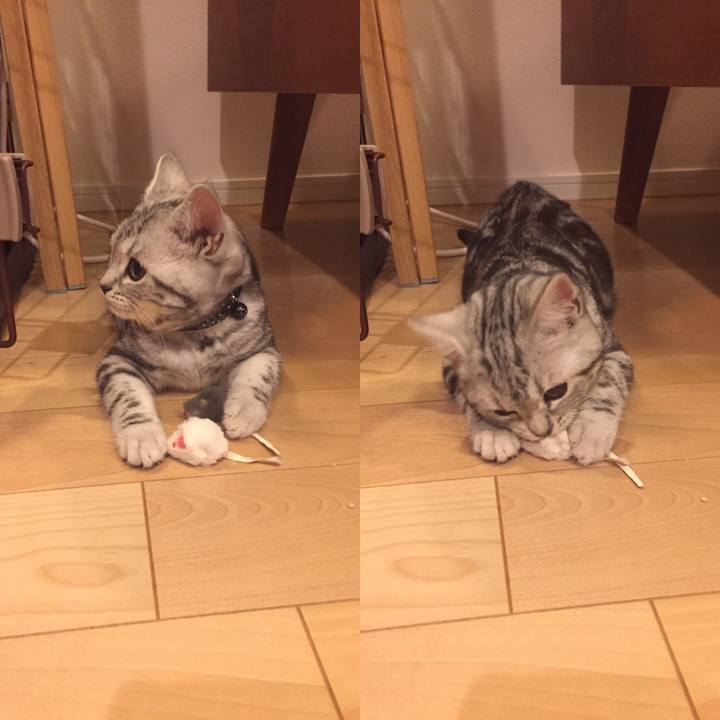 D5579711 245e 4f37 a15f e106bd2355be