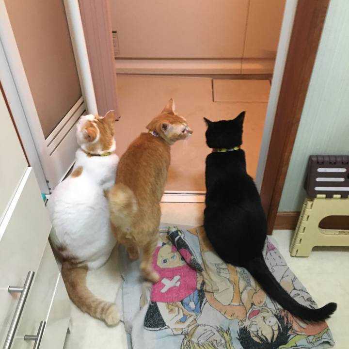 D557d74f 446f 4d8f b392 7e5a7b7265f7