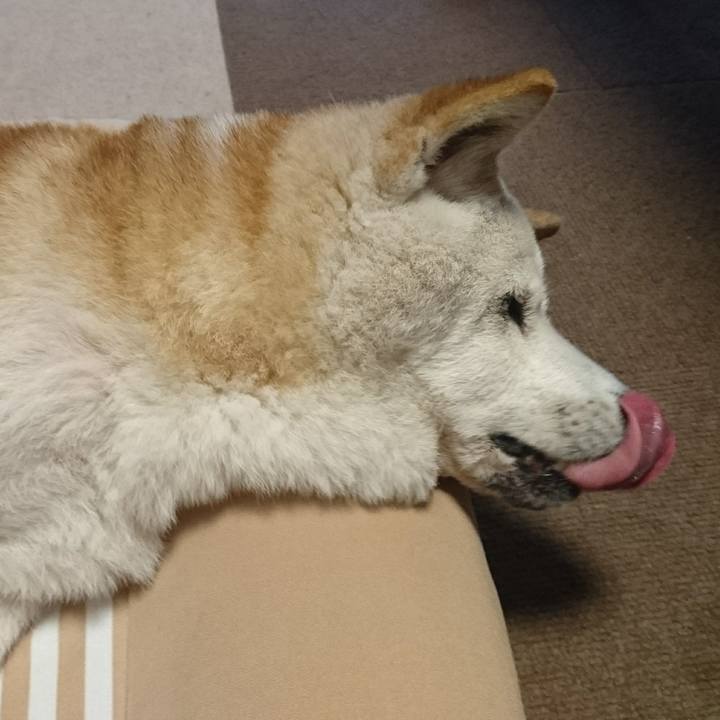 D557f0e1 4071 41c3 be31 63cee46bce72