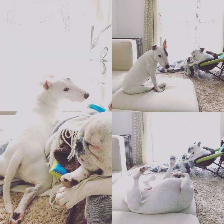 D55824f0 d481 4042 8bc6 e89e79e49471