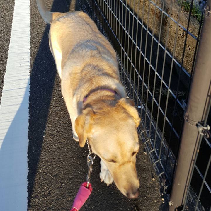 D558fb0c 63f4 4f54 8723 cb8735872671