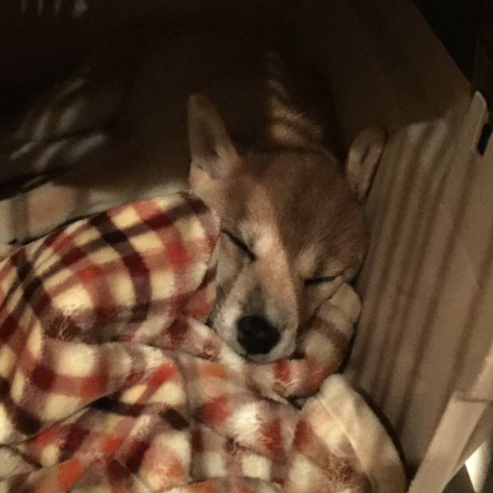 D55936ca 3cd8 4724 b646 d86f09a9d22b