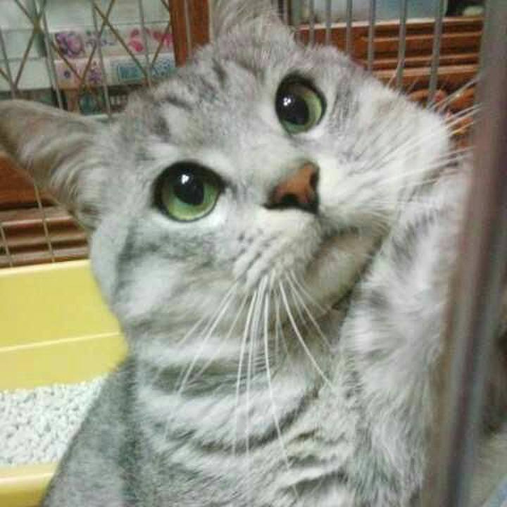 D55955ff 1503 47d0 8cbd 559a04cd6256