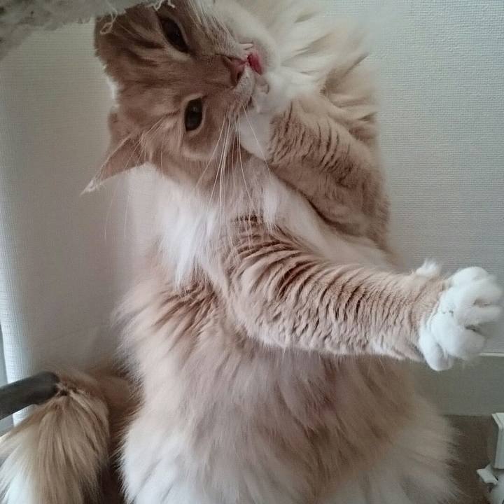 D559fba9 2e8e 4be9 b7a5 89273b94b8dc