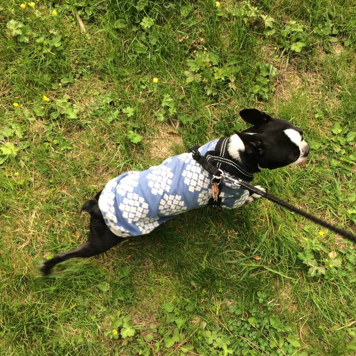 D55a643d f27f 4bc9 8b2c 8c704eed95ba