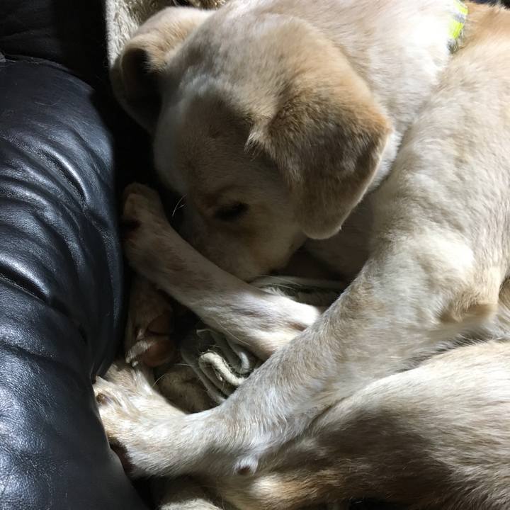 D55a69cc ad1f 4ed3 abda 439b4ce0b085