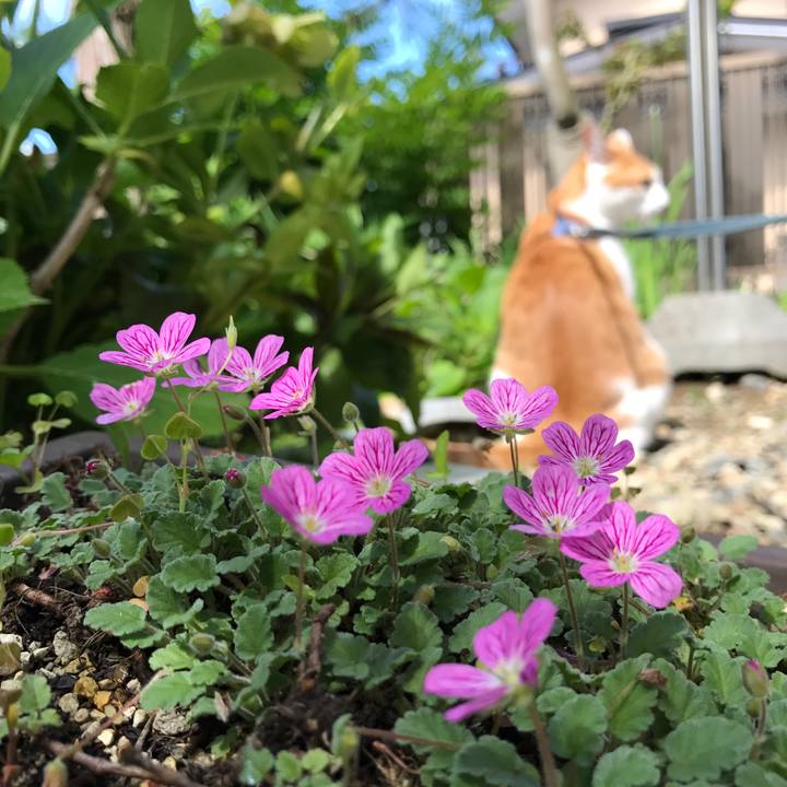 D55a9251 ca86 49b0 afbe 2c9eaede097a