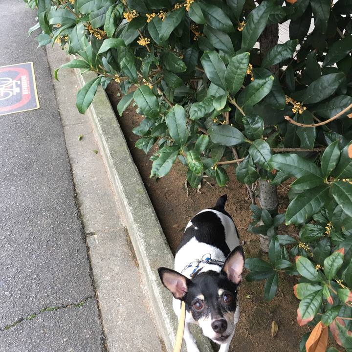 D55a955a fee6 43ab 9f8d 3b41157b18c3