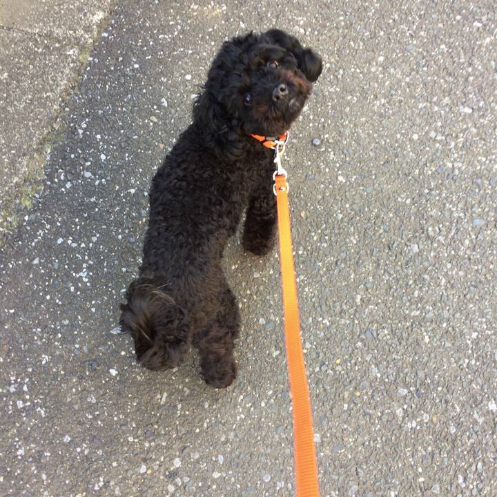 D55b0b85 a885 404f 90dc 71d9667cb0ef