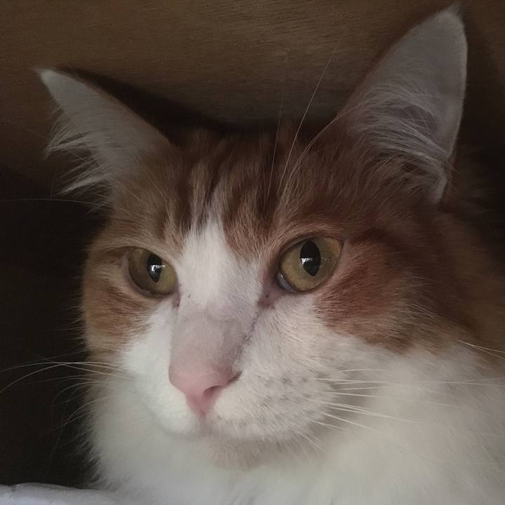 D55bc91f 64df 43bf a302 3d15f0f9c747