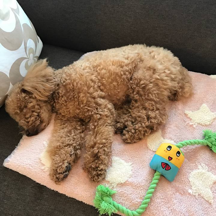 D55c4aa9 10f3 4309 beb3 8c49d7ac7a11