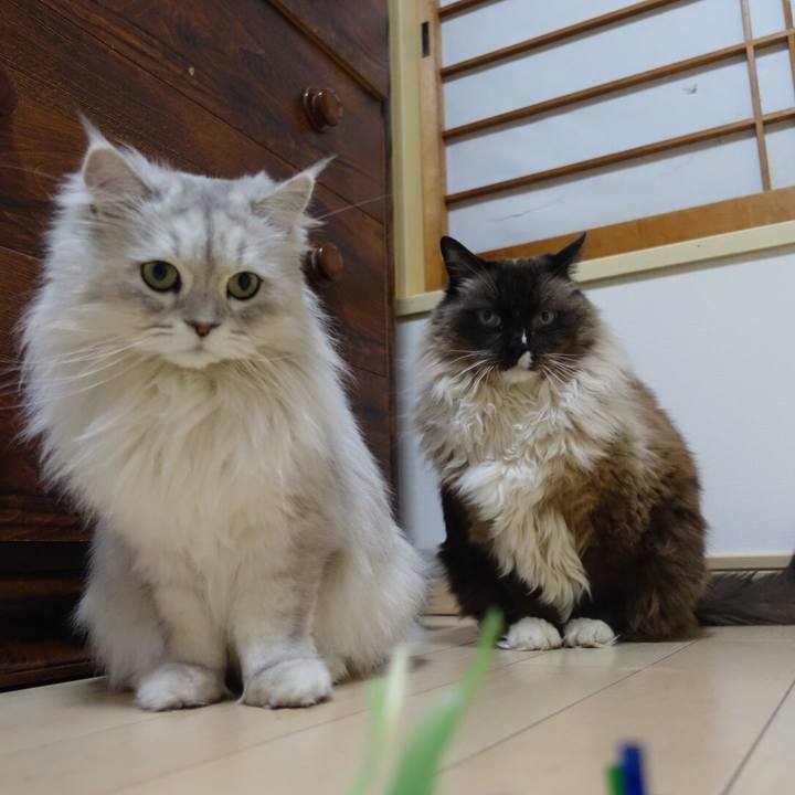 D55cd9e6 d3d9 4a23 a1ad f6932a2cf379