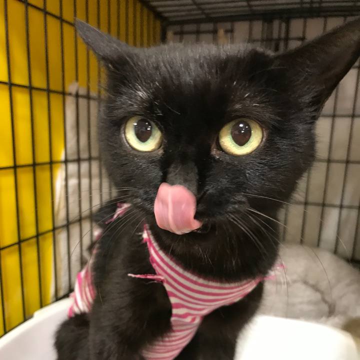 D55ce774 9871 44ba 87f5 f9570483ff2c