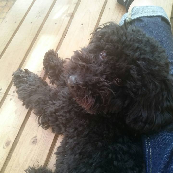 D55d744c 2ec7 49e4 b66e 7e97f487b6c4