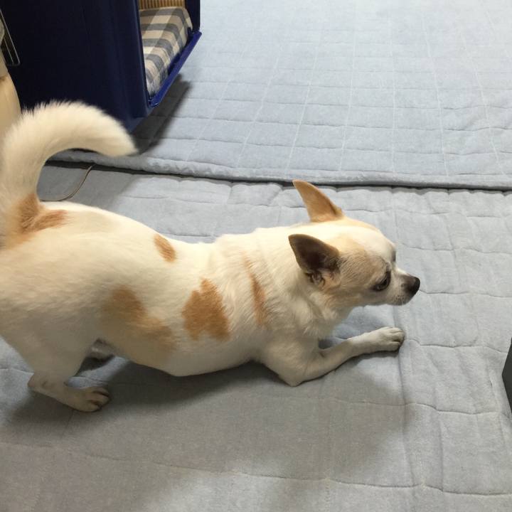 D55e2eac 7f01 4c31 85ff 6c84358c53a3