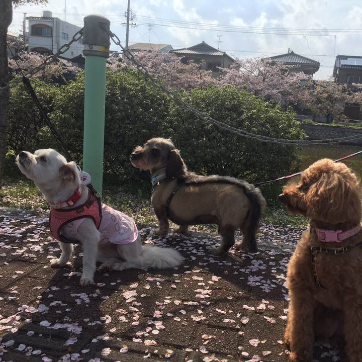 D55e5698 9346 4a75 a773 c00608014607