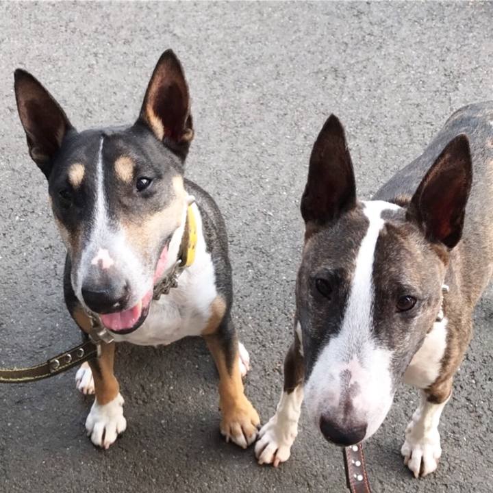 D55e9646 65d3 4e27 8c3d 30fa1d62083a