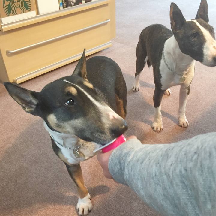 D55ec204 21fa 4091 bb98 83ff047112e4