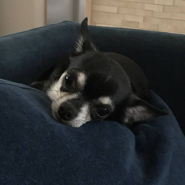 D55f120b 0434 4226 a9bd 12ecee8d4408