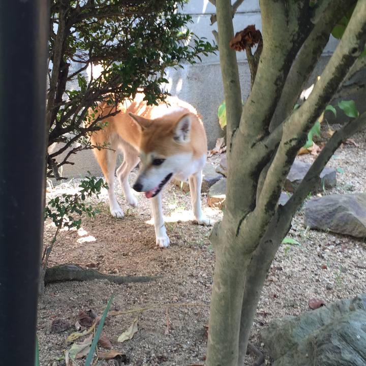 D5603e5d f642 4aae af78 6173b2435cc8