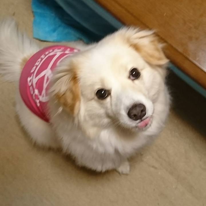 D5604d54 4653 4c86 b8d0 d65e1865e411