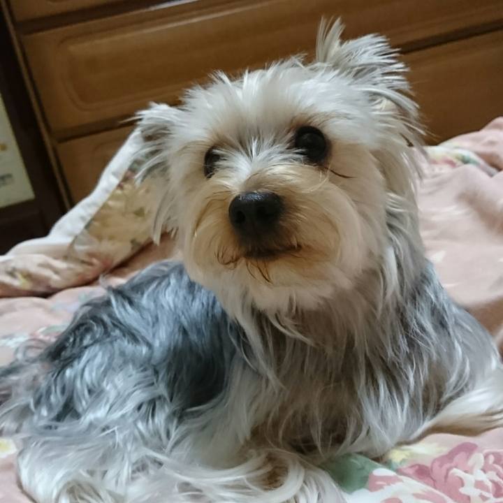 D560cc8f be91 46c1 a891 f3596ca1ca14