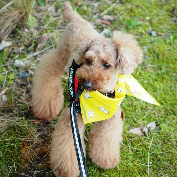 D560ea70 218b 493a 9fe9 722575171e95