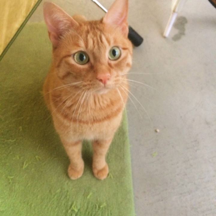 D5610e41 ae9c 4419 b611 78609304e82e