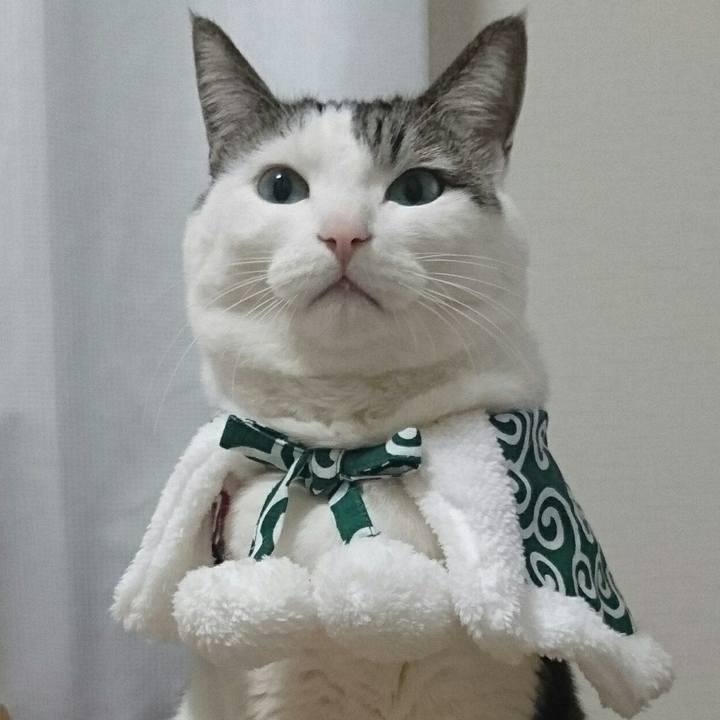 D5616478 982a 414d a15c fe9290d13ee9