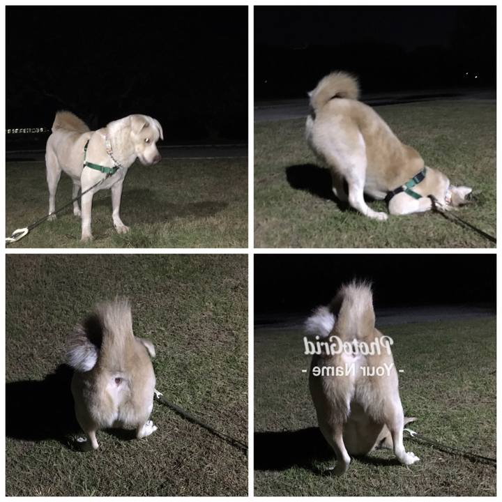 D561ce73 e7e4 43d8 a936 869d2aeae0eb