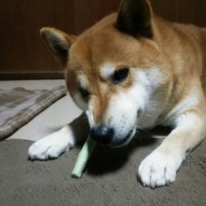 D5622fba 6a6b 4c21 af06 1e636c367b39