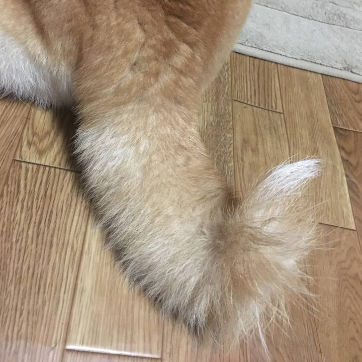 D562c72b 0cb7 40a5 bd56 a700d0d32dfe