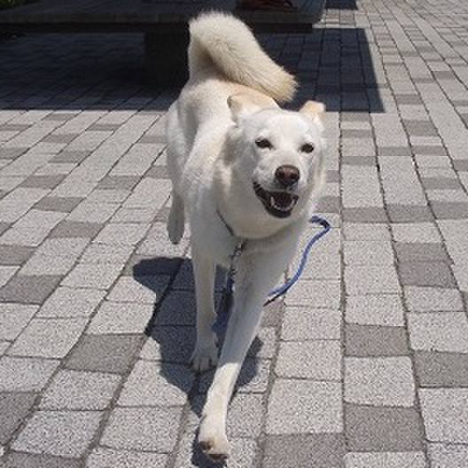 D56331c7 6a61 491d 97ad 78458d2b097c