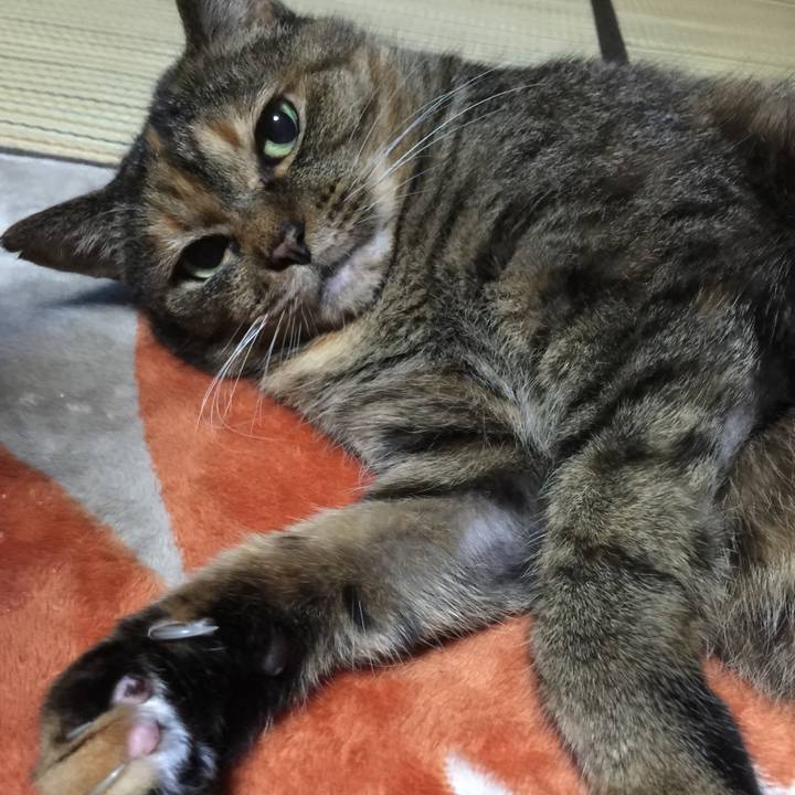 D5633a17 21e6 47d2 9fe7 915590ec30c4