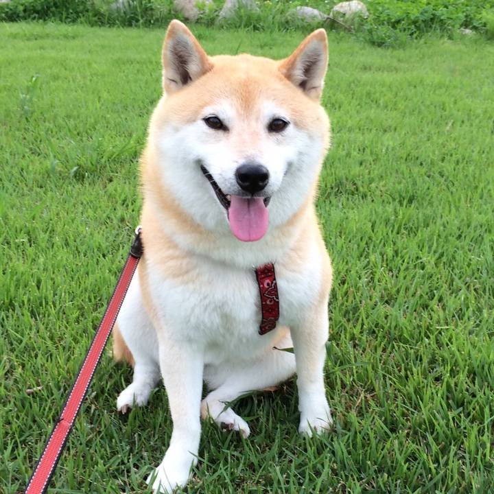 D5635341 82fe 43e6 87cb 3c6a6df6ee38