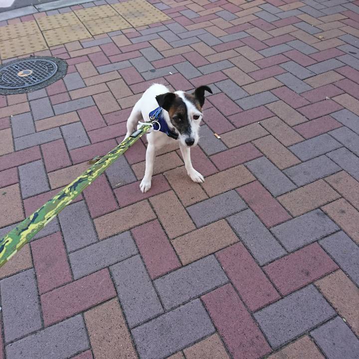 D56430c9 88e8 4297 90db 805162d0bb40