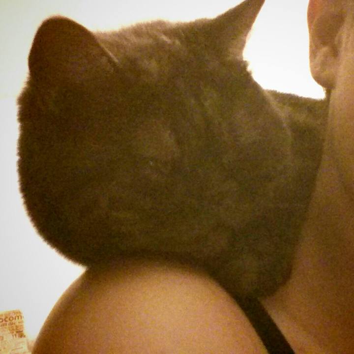 D564d1a1 4db6 4483 a613 eb820833cef7