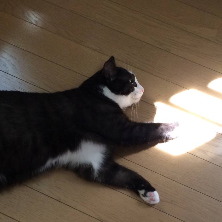 D564f038 cbf9 440b bf94 e5ec8223877e