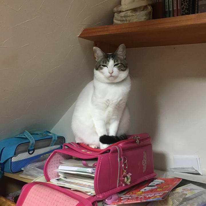 D565130d 47e4 4944 9ec0 3a95b6959ff3