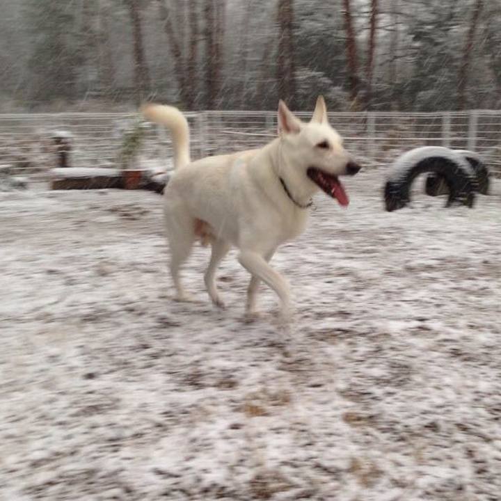 D5655b6c 442c 421d ab63 90275ac3d264