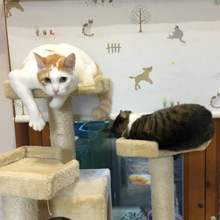 D56565f2 b12b 4369 b6b1 9422700ff7b7