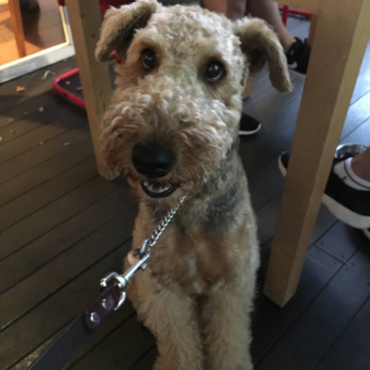 D566f997 38ea 47bc 930f a49f227aba0c