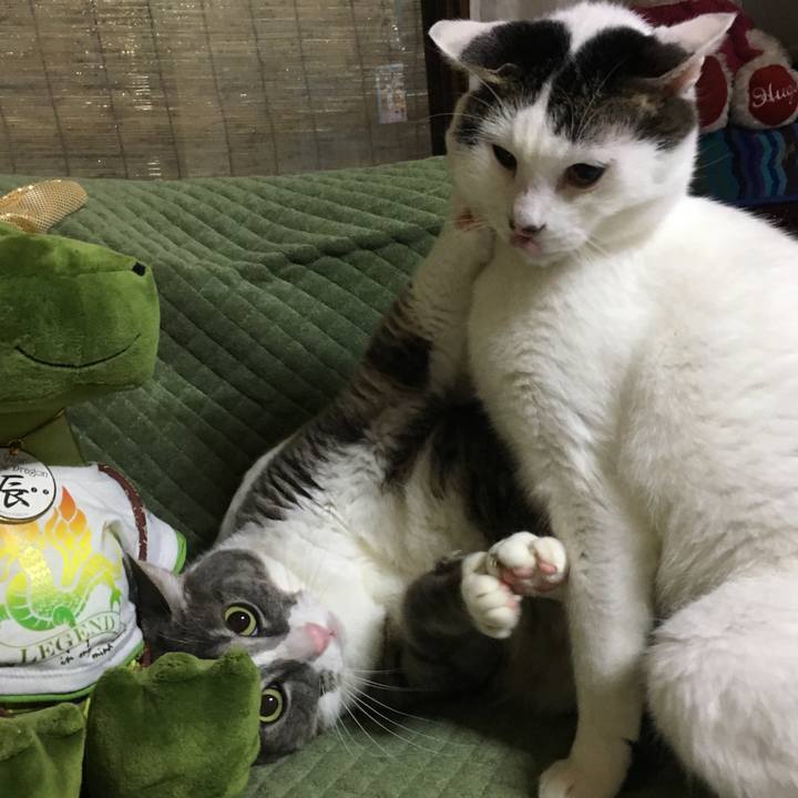 D567945e 435e 47bb aa53 c538c4188ddc