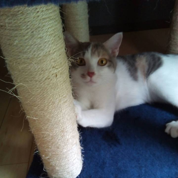 D5679eda b7c5 44c0 8fa8 a66920266ead